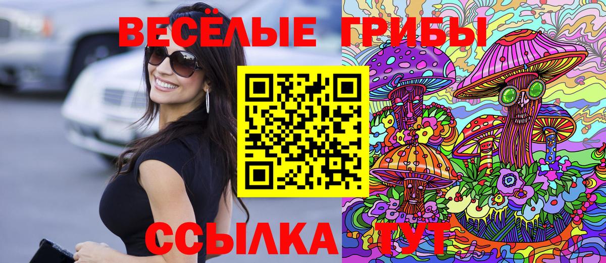 Галлюциногенные грибы мухоморы Элиста